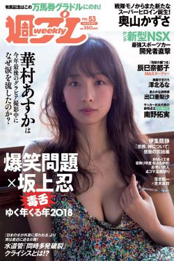 樊梨花烽火奇遇结良缘